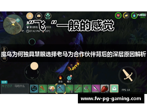 魔鸟为何独具慧眼选择老马为合作伙伴背后的深层原因解析 魔鸟为何独具慧眼选择老马为合作伙伴背后的深层原因解析