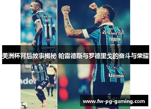 美洲杯背后故事揭秘 帕雷德斯与罗德里戈的奋斗与荣耀