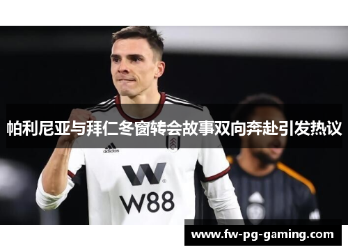 帕利尼亚与拜仁冬窗转会故事双向奔赴引发热议 帕利尼亚与拜仁冬窗转会故事双向奔赴引发热议