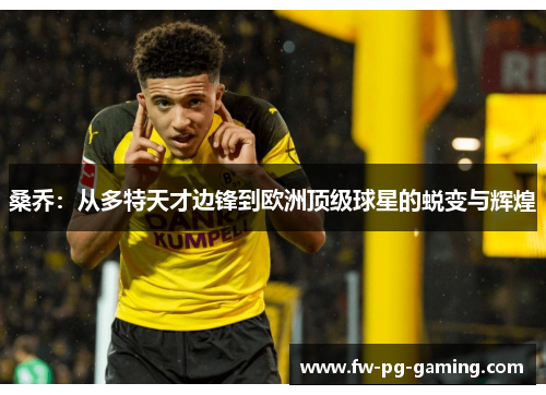 桑乔：从多特天才边锋到欧洲顶级球星的蜕变与辉煌