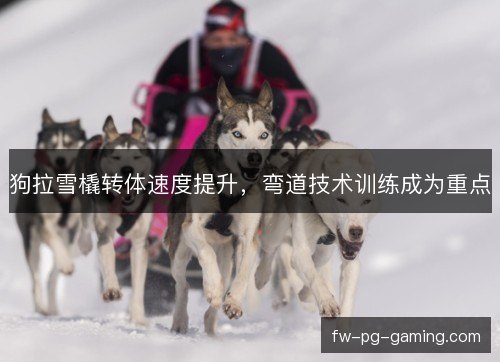 狗拉雪橇转体速度提升，弯道技术训练成为重点